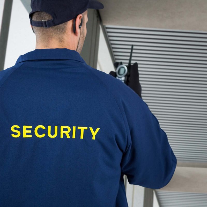 composite-image-of-rear-view-of-security-officer-t-5BH6M5M.jpg